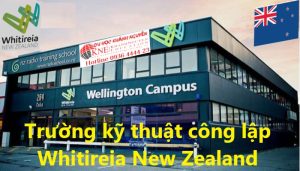 Trường kỹ thuật công lập Whitireia New Zealand