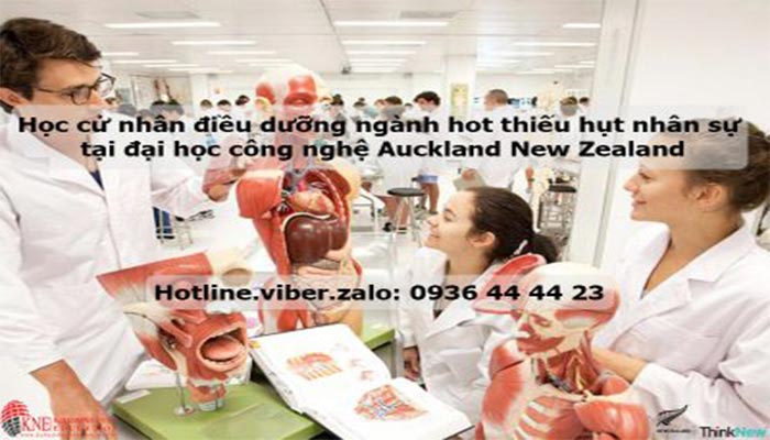 Học Cử Nhân Điều Dưỡng Ngành Hot Thiếu Hụt Nhân Sự Tại New Zealand
